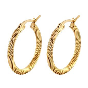 18K gold plated Stainless steel earrings, Intensity SKU #87242-0 ...