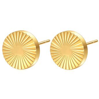 18K gold plated Stainless steel earrings, Intensity