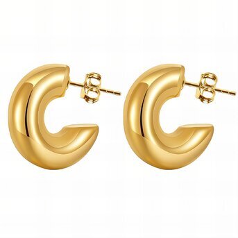 18K gold plated Stainless steel earrings, Intensity