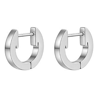 Stainless steel earrings, Intensity