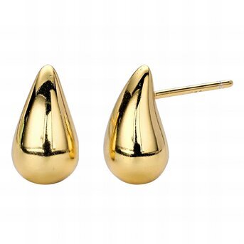 18K gold plated Stainless steel earrings, Intensity