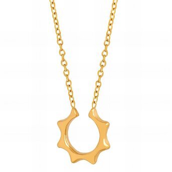 18K gold plated Stainless steel necklace, Intensity