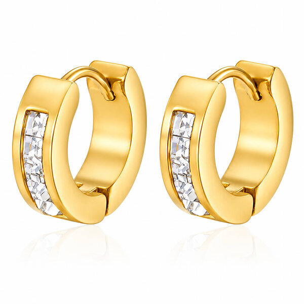 Earrings, 18K Gold Plated Steel