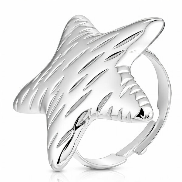 "Star" Stainless Steel Ring - Intensity
